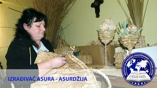 Kurs za izraživača asura Novi Sad | Institut za stručno usavršavanje