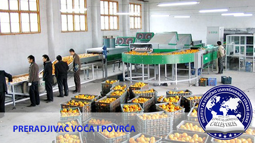 Preradjivač voća i povrća Kragujevac, Niš | Institut za stručno usavršavanje