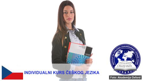 Individualni kursevi češkog jezika Novi Sad | Institut za stručno usavršavanje i strane jezike
