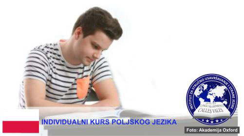 Individualni kursevi poljskog jezika Novi Sad | Institut za stručno usavršavanje i strane jezike