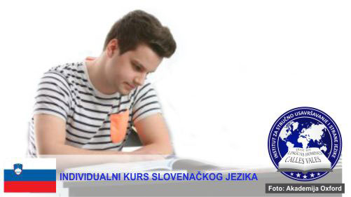 Individualni kursevi slovenačkog jezika Novi Sad | Institut za stručno usavršavanje i strane jezike